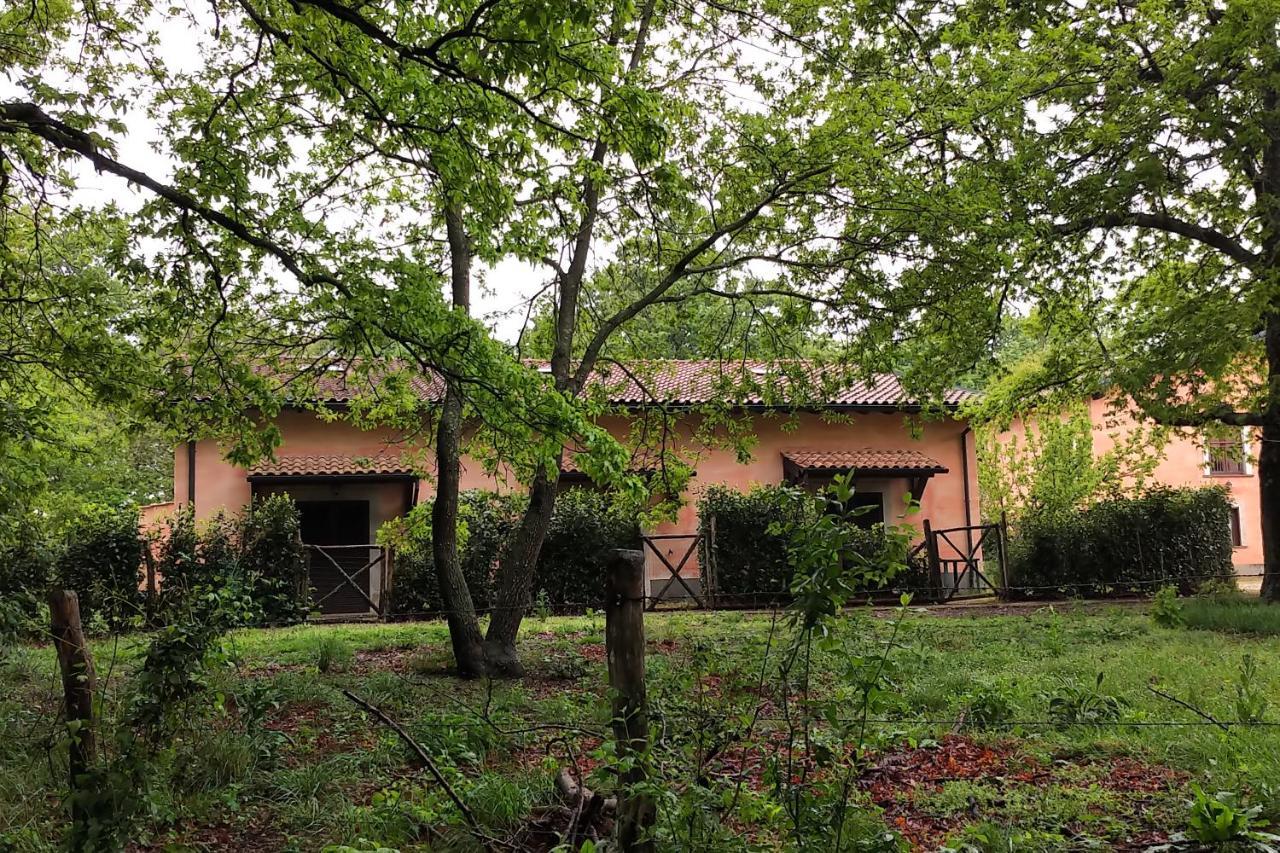Agriturismo Tenuta Monte La Guardia Castel Giuliano Extérieur photo